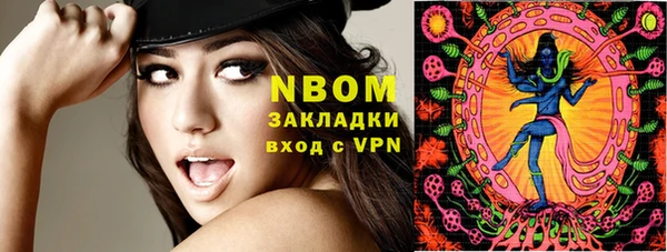 шишки Осташков