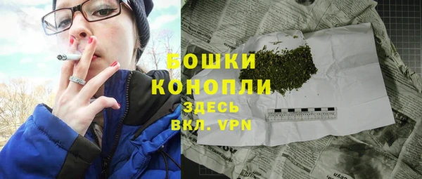 шишки Осташков