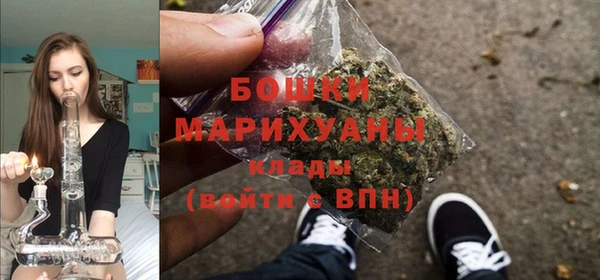 шишки Осташков