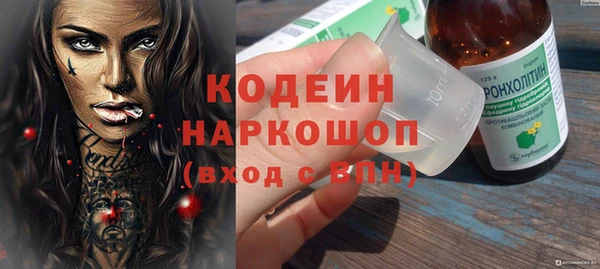 шишки Осташков