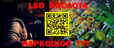 бошки Кингисепп