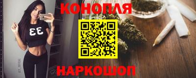 бошки Кингисепп