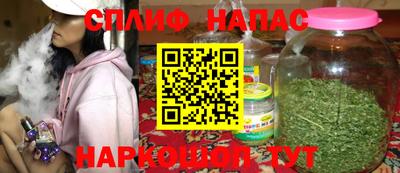 бошки Кингисепп