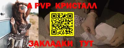 бошки Кингисепп