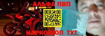 бошки Кингисепп
