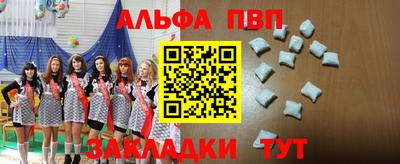 бошки Кингисепп
