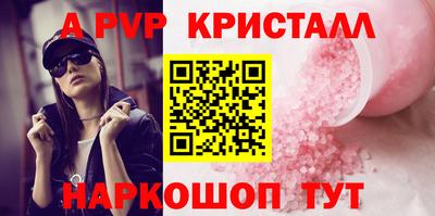 бошки Кингисепп