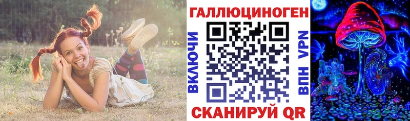 что такое Красноперекопск Галлюциногенные грибы Psilocybe