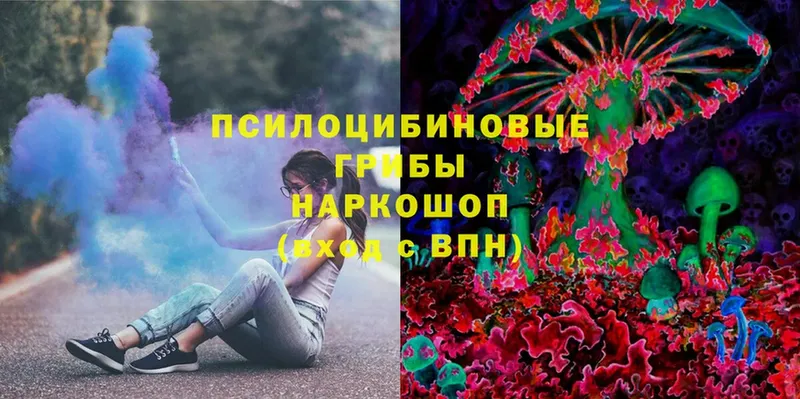 Псилоцибиновые грибы Magic Shrooms  Красноперекопск 