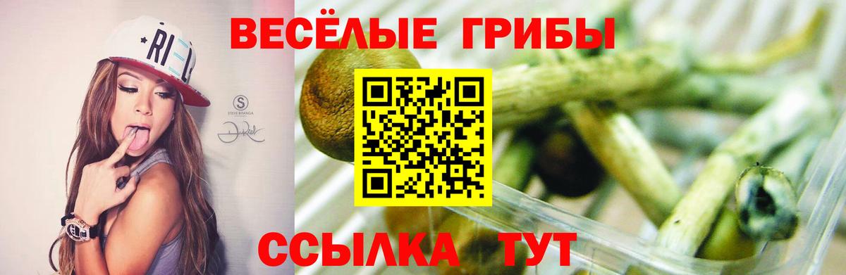 Красноперекопск  наркота  Псилоцибиновые грибы мухоморы  Вход с VPN  Галлюциногенные грибы мицелий 